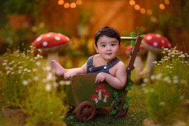 عکاسی فضای باز با تم کالسکه و قارچ و گل های طبیعی