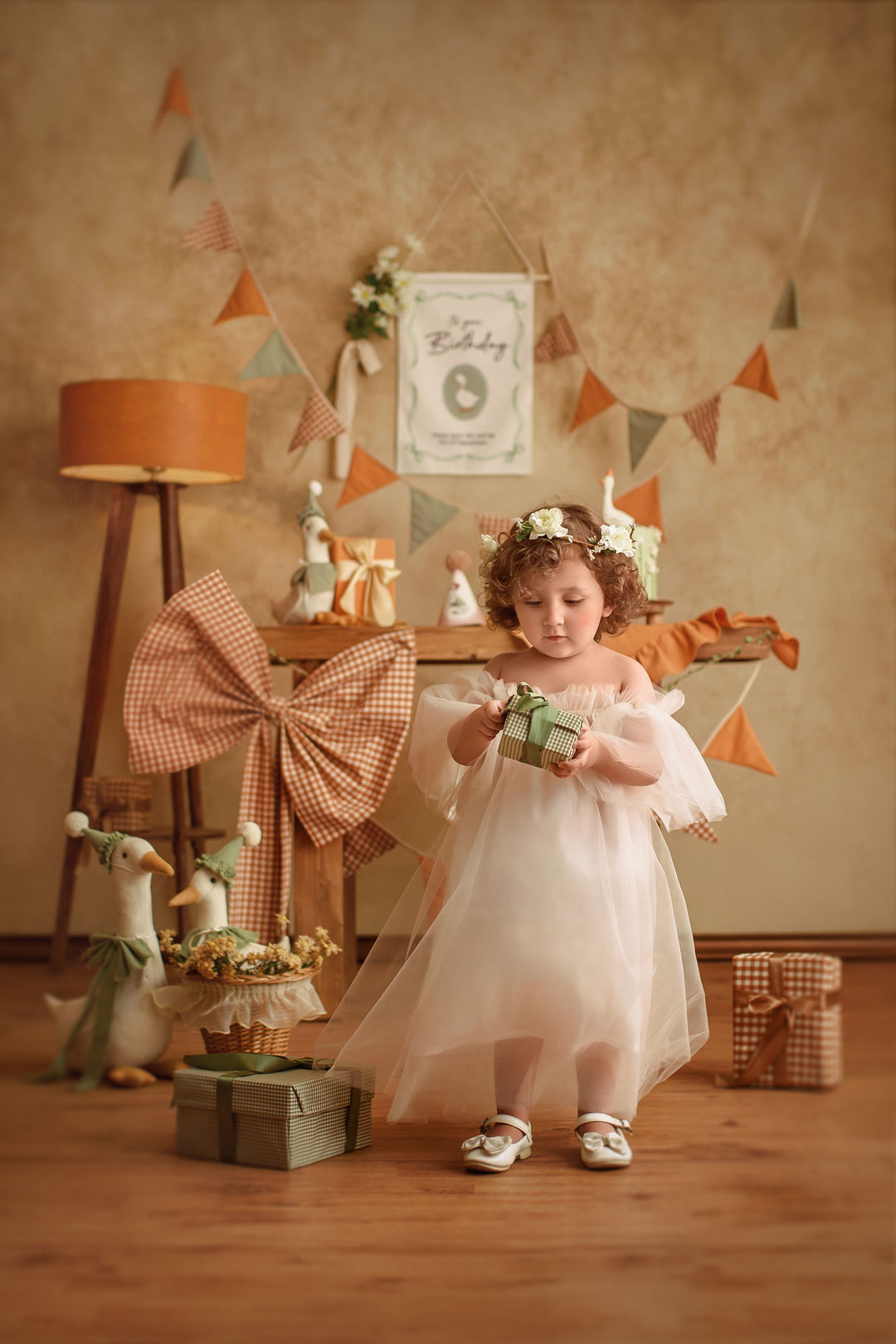 عکاسی تولد کودک با دکور تولد اختصاصی در نویسا